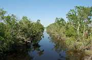 New Orleans 04-08-06 136